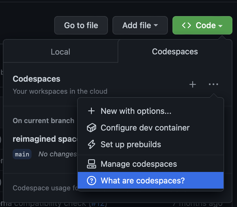 codespace options